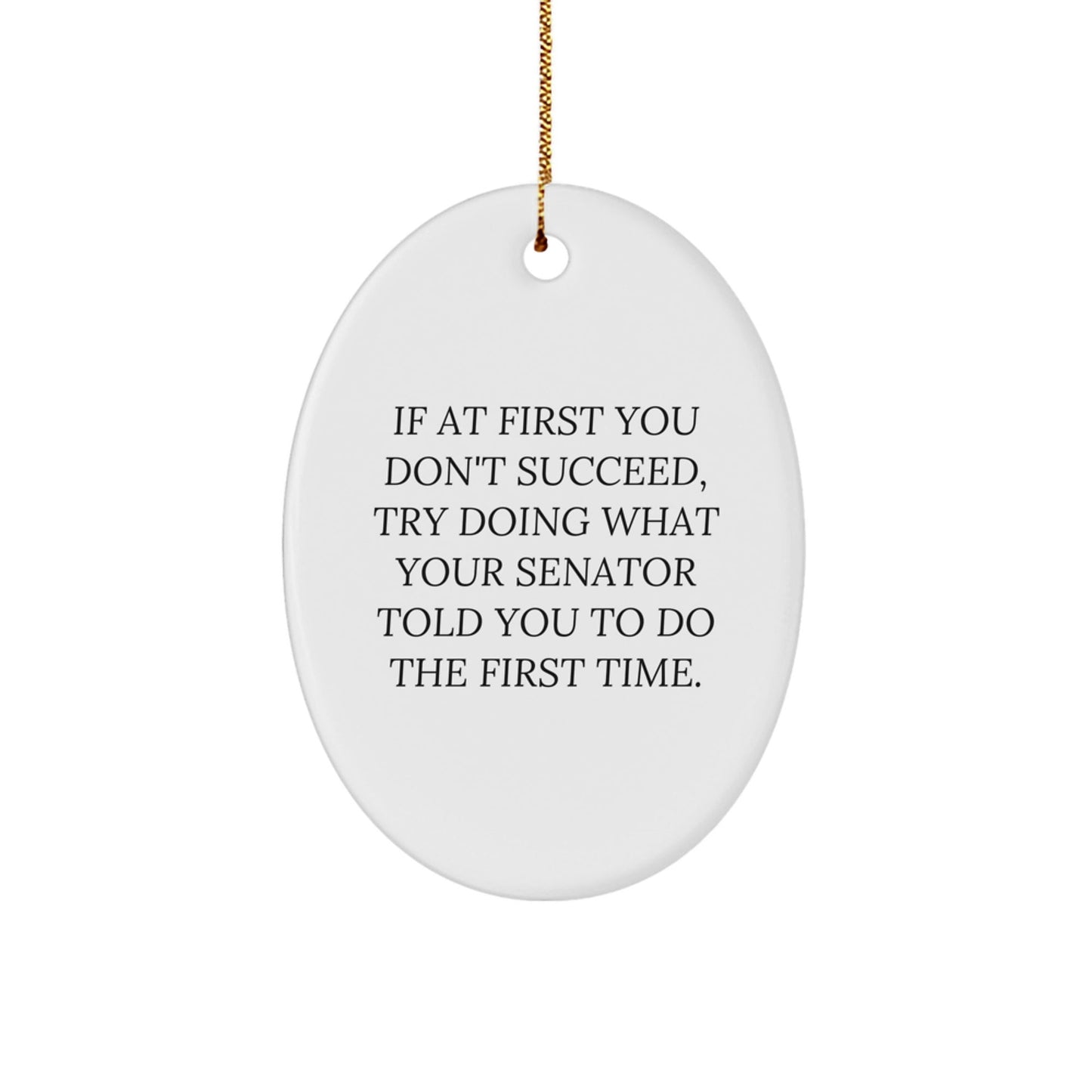 Senator Oval Ornament, Funny Gifts from Men to Senator, 'If At First You Don't Succeed' Oval Decoration for Christmas - The Buy Boom