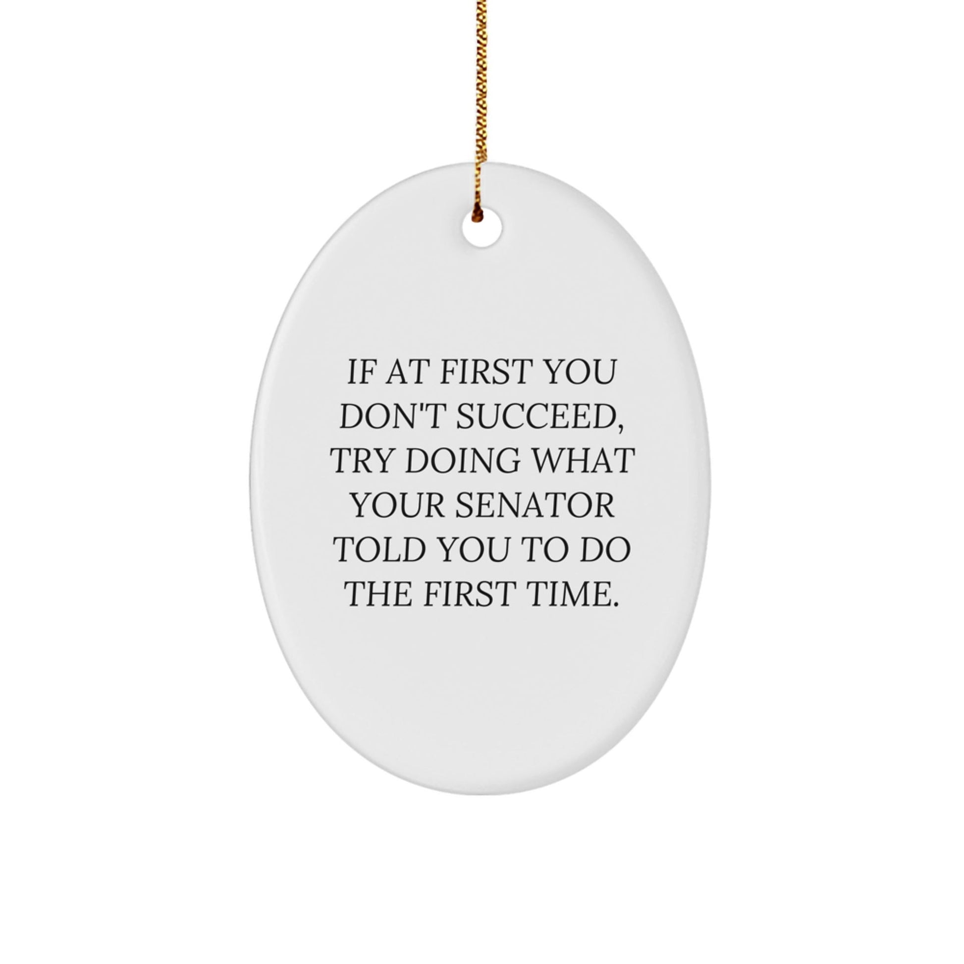 Senator Oval Ornament, Funny Gifts from Men to Senator, 'If At First You Don't Succeed' Oval Decoration for Christmas - The Buy Boom