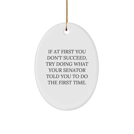 Senator Oval Ornament, Funny Gifts from Men to Senator, 'If At First You Don't Succeed' Oval Decoration for Christmas - The Buy Boom
