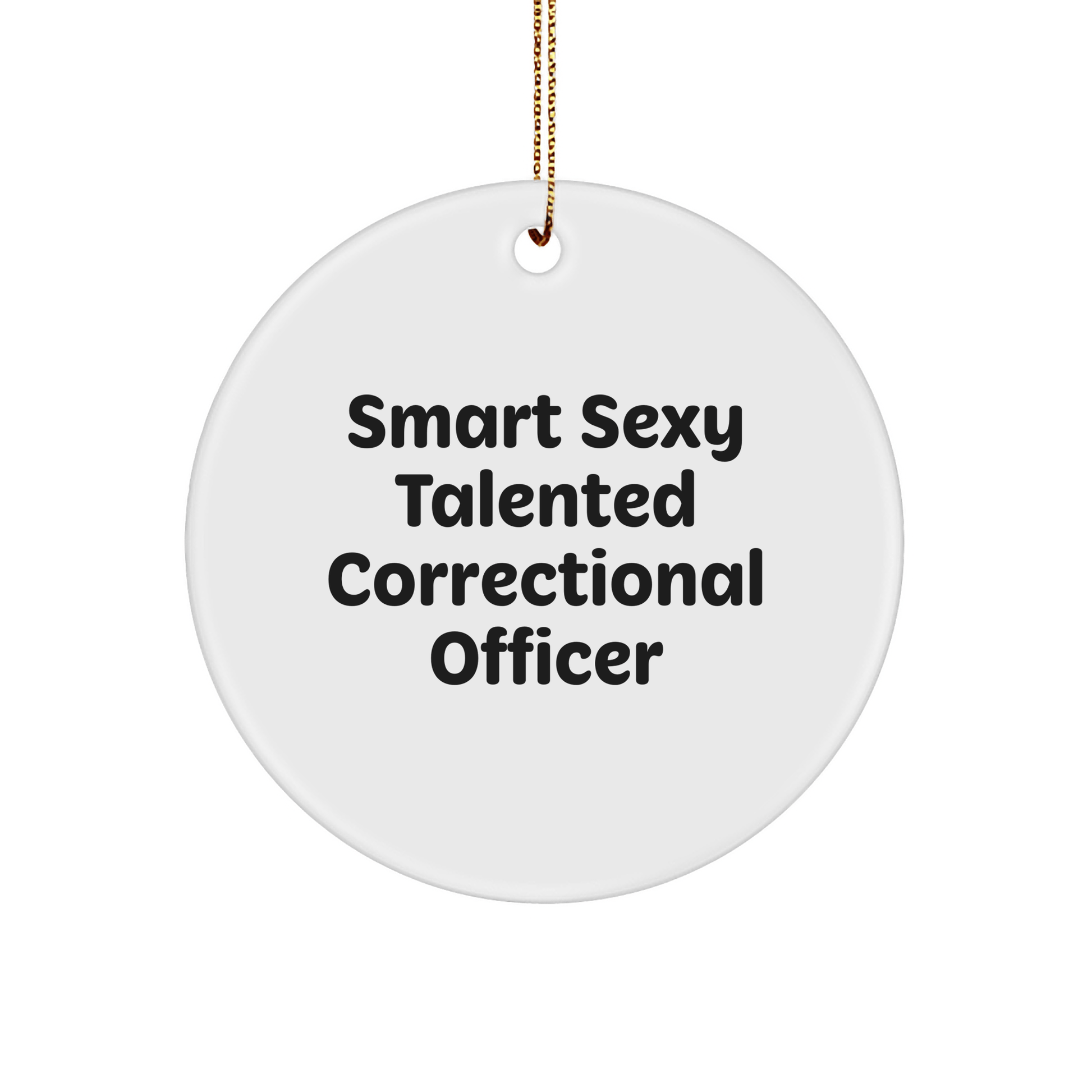 Smart Sexy Talented Correctional Officer Gifts for Men, Women, and Friends - Funny Circle Ornament for Christmas - The Buy Boom