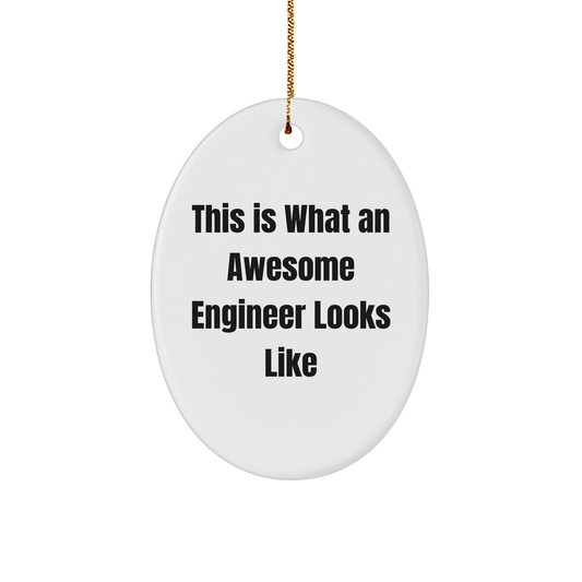This Is What An Awesome Engineer Looks Like, Oval Ornament Gifts for Engineer, Funny Christmas Unique Gift from Friends - The Buy Boom
