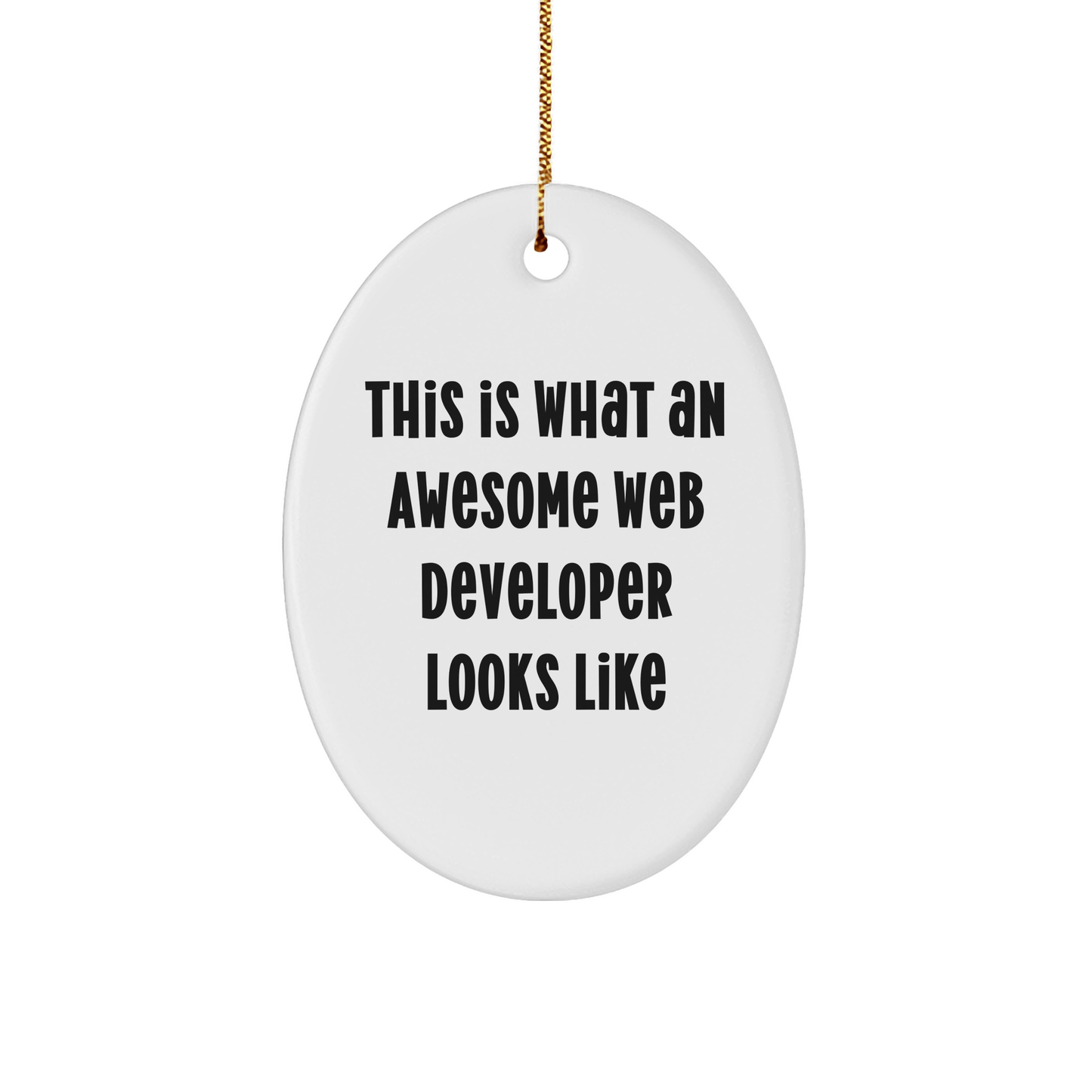 This Is What An Awesome Web Developer Looks Like Oval Ornament, Gifts from Friends to Web Developers, Unique Christmas Unique Gifts for Him - The Buy Boom