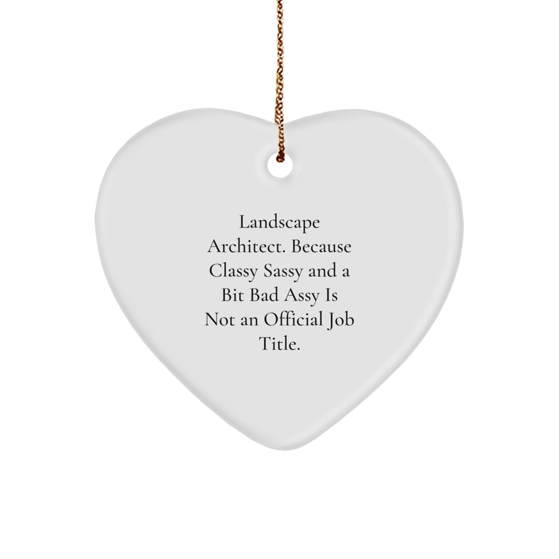 Unique Gifts for Landscape Architect, Funny Heart Ornament, Christmas Decoration, Gifts from Friends, Friends Gifts for Landscape Architect - The Buy Boom