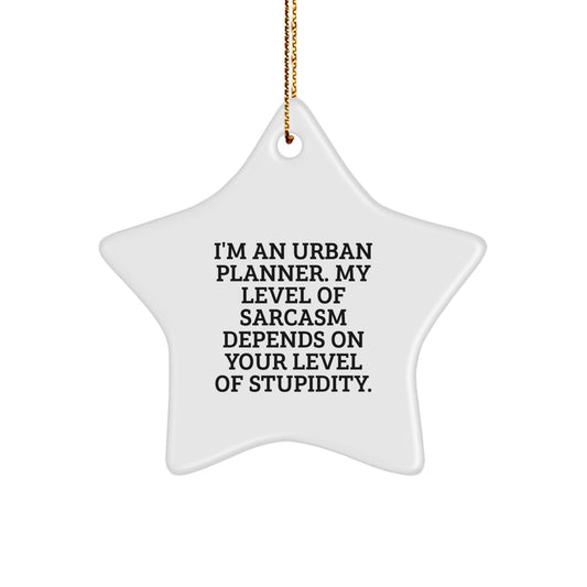 Urban Planner Gifts for Christmas - Funny Star Ornament with Sarcasm Quote, 'I'm An Urban Planner...', Gifts from Friends, Perfect for Urban Planner's Office - The Buy Boom