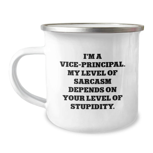 Vice - Principal Gifts, Funny Quote Camping Mug, Graduation Unique Gifts from Friends, Inspirational Vice - Principal Mug, Gifts for Vice - Principal - The Buy Boom