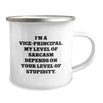 Vice - Principal Gifts, Funny Quote Camping Mug, Graduation Unique Gifts from Friends, Inspirational Vice - Principal Mug, Gifts for Vice - Principal - The Buy Boom