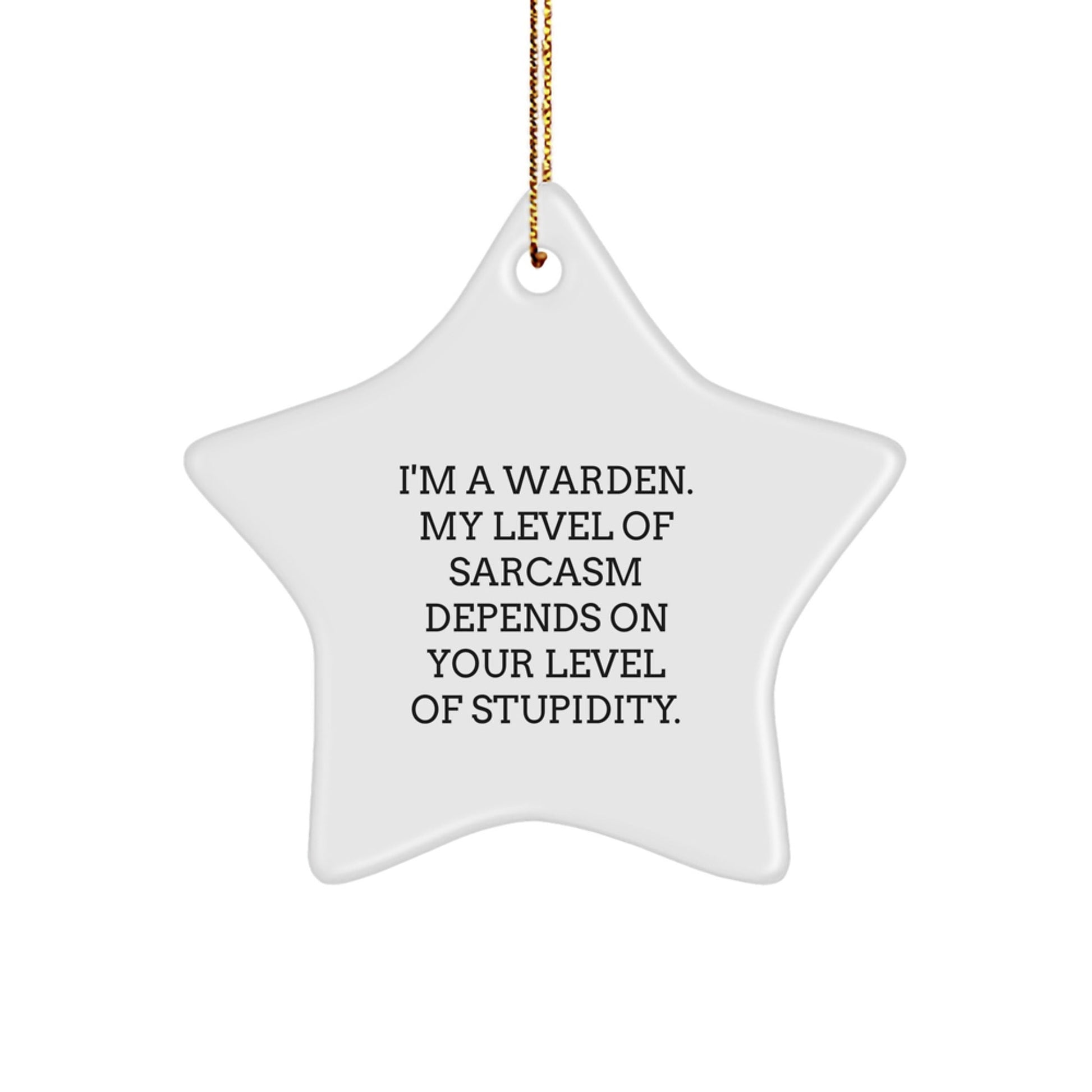 Warden Star Ornament, Funny Quote, Christmas Unique Gifts from Friends and Family, Unique Present for Him or Her, 'I'm A Warden. My Level Of Sarcasm Depends On Your Level Of Stupidity.' - The Buy Boom