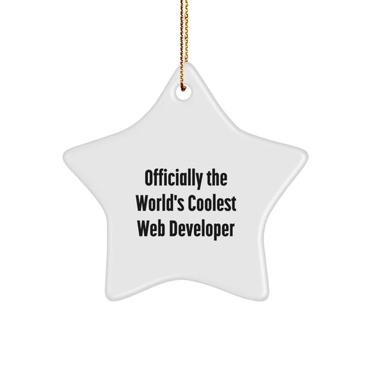 Web Developer Gifts for Men Funny Star Ornament Christmas Unique Gifts from Friends to Celebrate Their Coolness - The Buy Boom